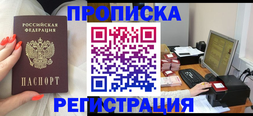 временная регистрация поиск в Зее